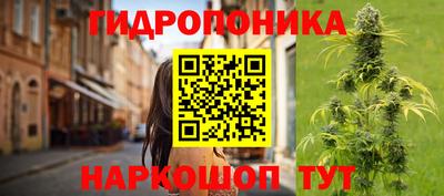 бошки Шахты
