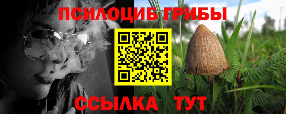 Бор  Псилоцибиновые грибы Cubensis  Псилоцибиновые грибы Psilocybe  купить наркоту  Вход с VPN 